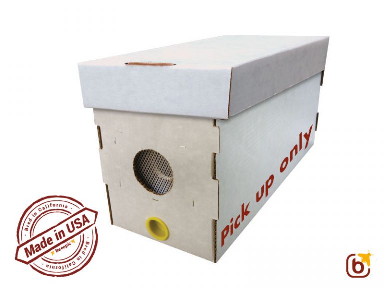 Order Your Live Bees (Bee Nucs) for Spring 2025!
