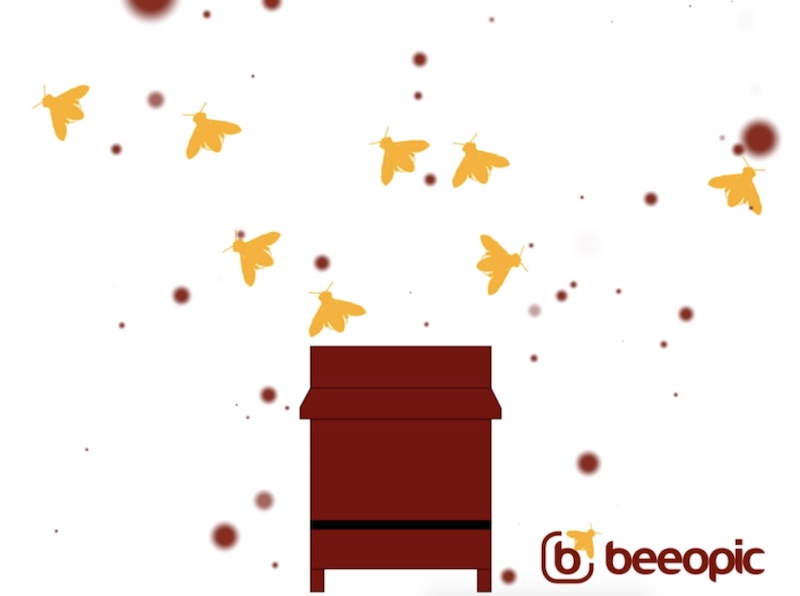 Beeopic-2018 bonne annee