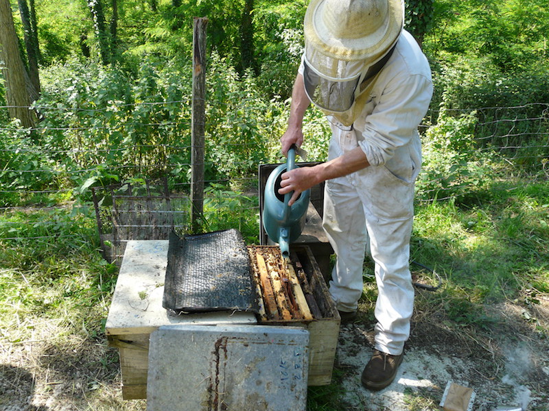 beekeeper