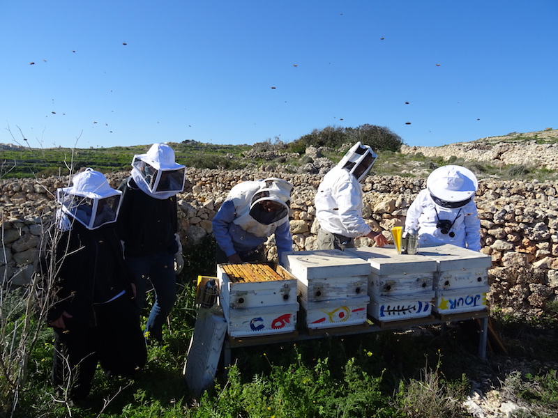 open-close-beehive
