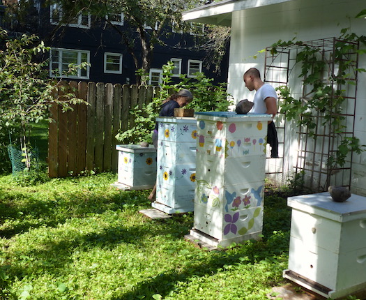 professional-beekeeper