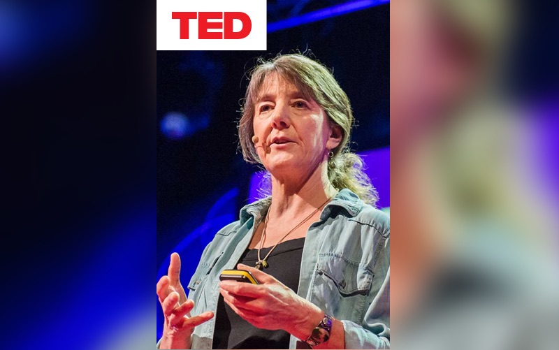 why-bees-disappearing-spivak-marla