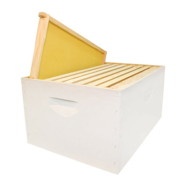 bee hive 8 frame