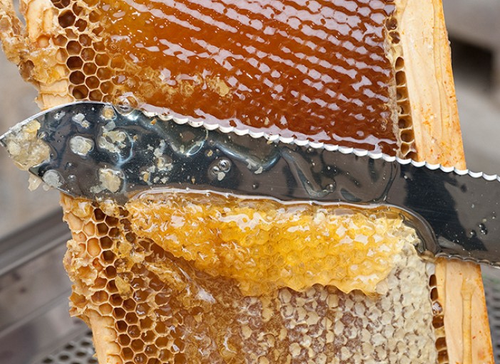 harvest-honey-october