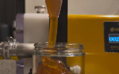 🍯 The new honey harvest is bottled and ready!