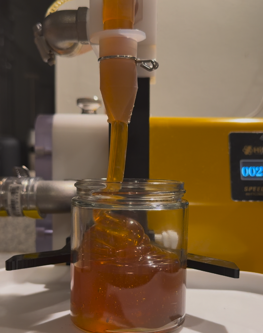 🍯 The new honey harvest is bottled and ready!